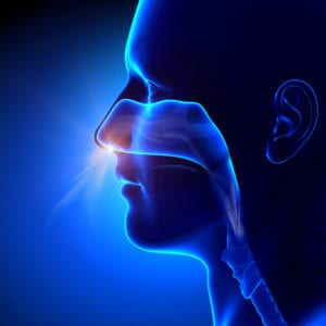 nasal breathing