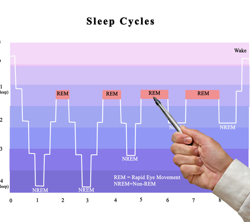 sleep doctor shows sleep cycle phases